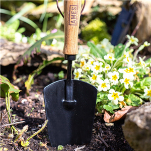 Ames Hand Trowel Carbon